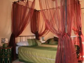 Riad Eucalyptus by Caravanserail, photo 1