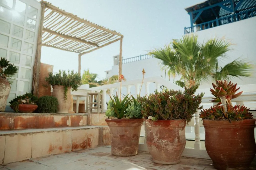 Riad Baladin, photo 3