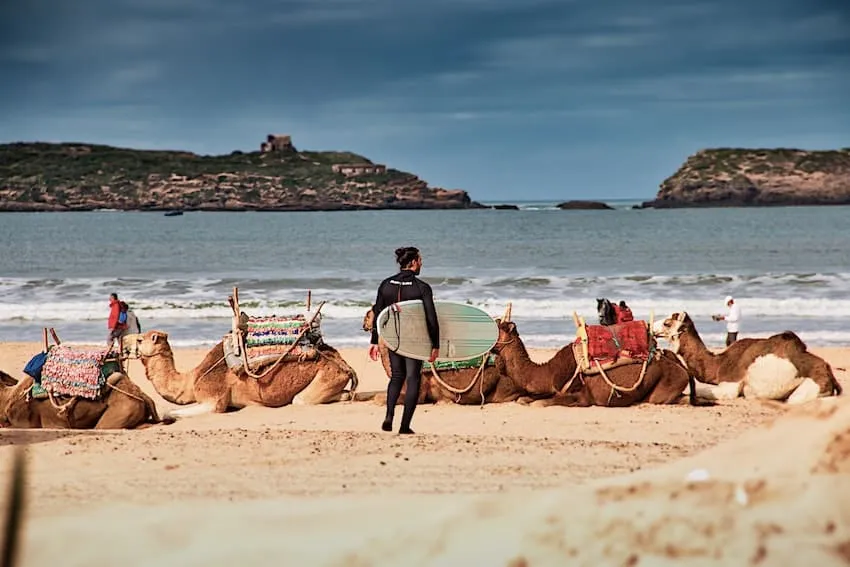 Surfeur sur la plage d'Essaouira