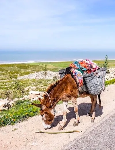 Route vers les Cascades de Sidi M'Barek depuis Essaouira